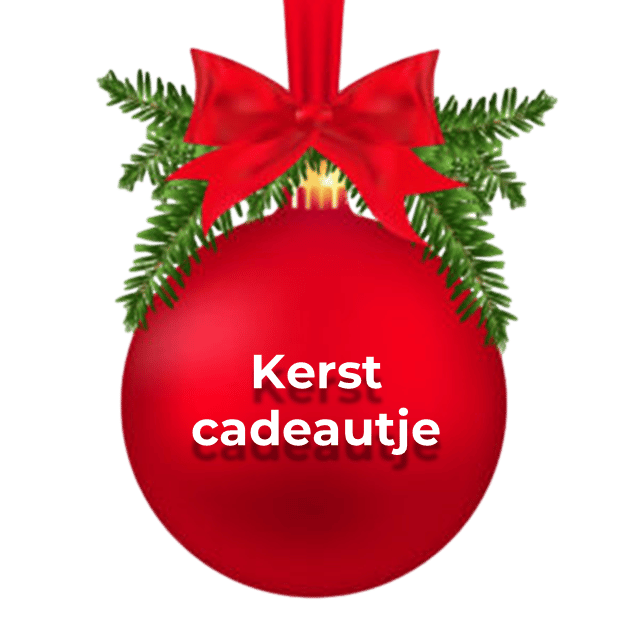 Voor jou, van ons een speciaal kerstcadeautje BABOR